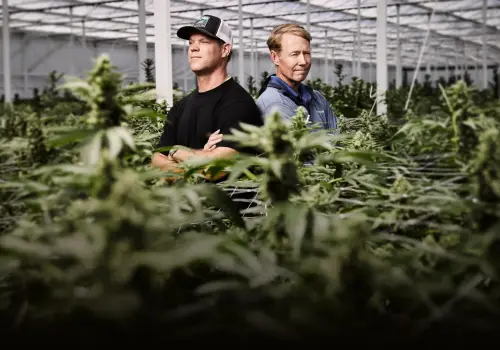 El invernadero de cannabis más grande de EE.UU. se alista para cotizar en Wall Street