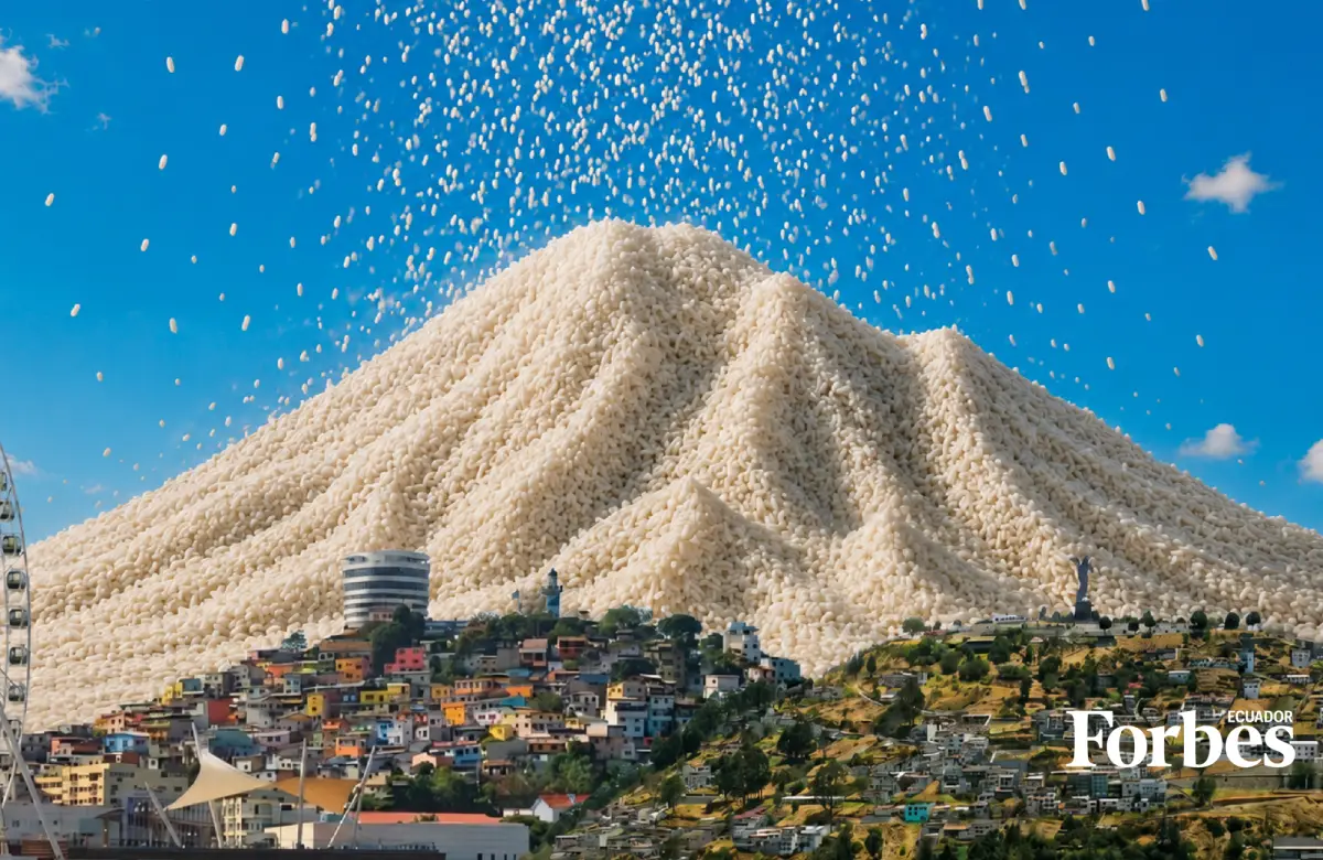 Los ecuatorianos consumen US$ 600 millones de arroz al año