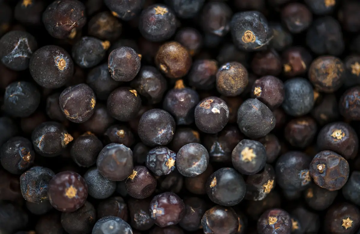El próximo ingrediente de lujo del mundo puede nacer en la Amazonía ecuatoriana