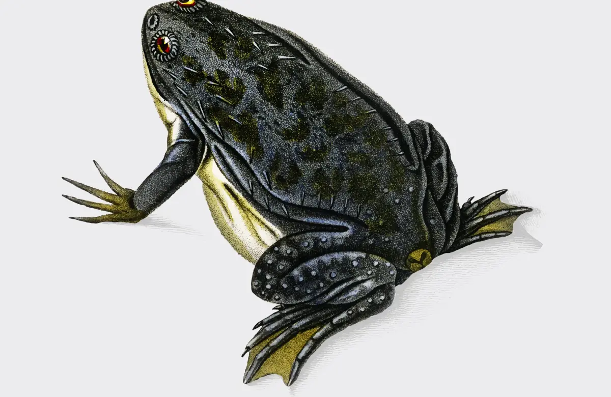 En peligro criítico de extinción