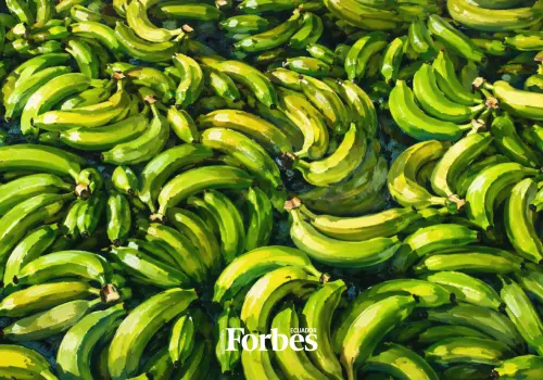 Las 20 exportadoras de banano ecuatoriano más poderosas en 2025