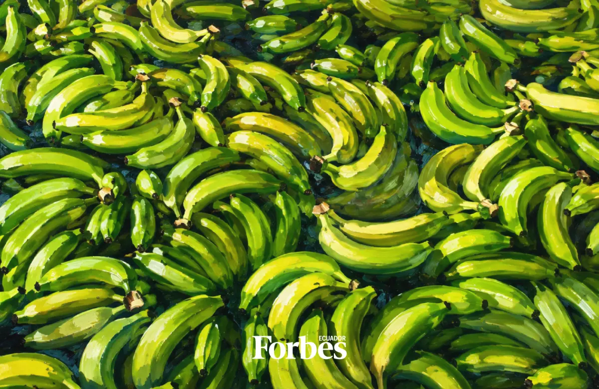 Las 20 exportadoras de banano ecuatoriano más poderosas en 2025