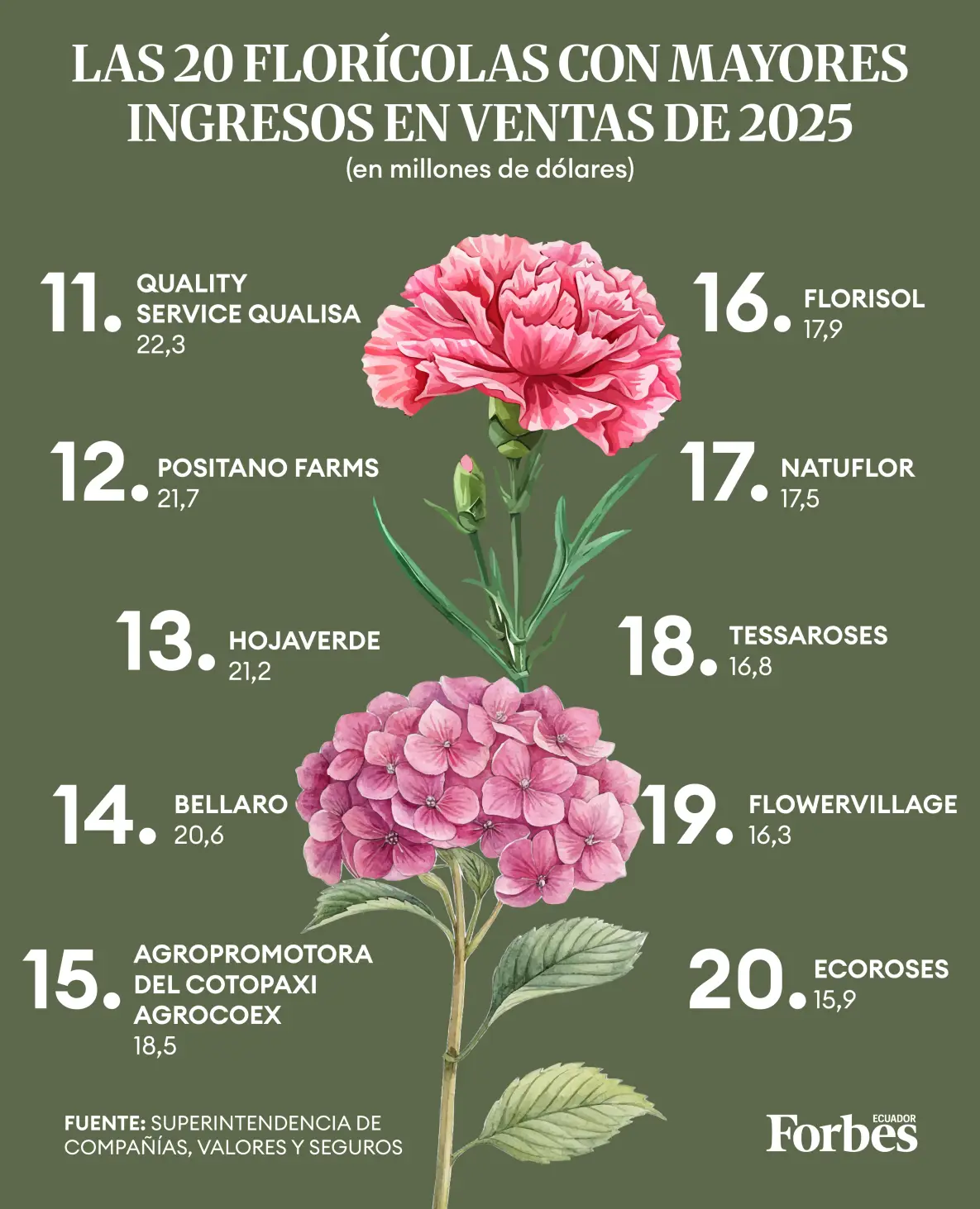 Estas son las 20 florícolas con mayores ingresos en ventas de 2025