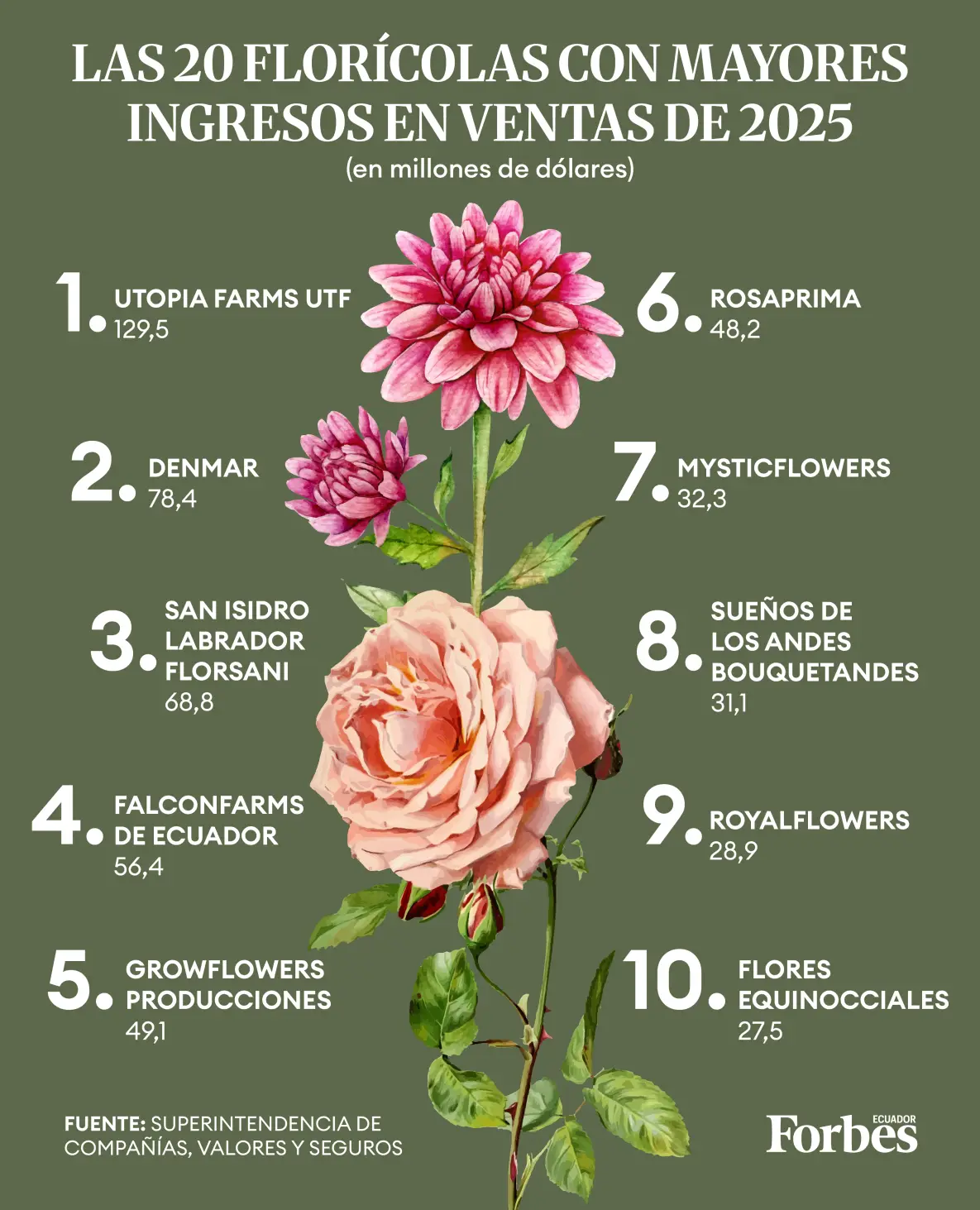 Estas son las 20 florícolas con mayores ingresos en ventas de 2025
