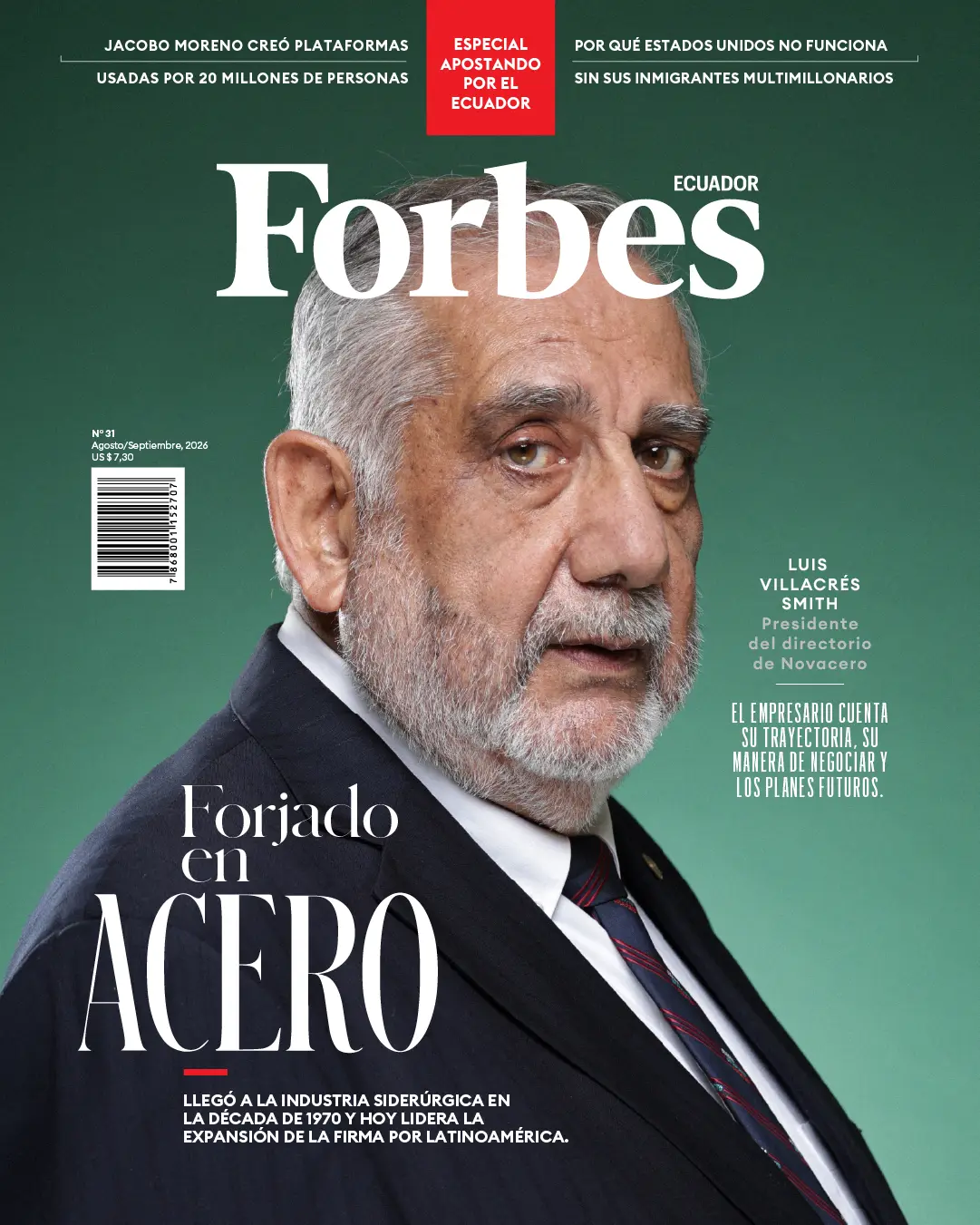 Revista 31