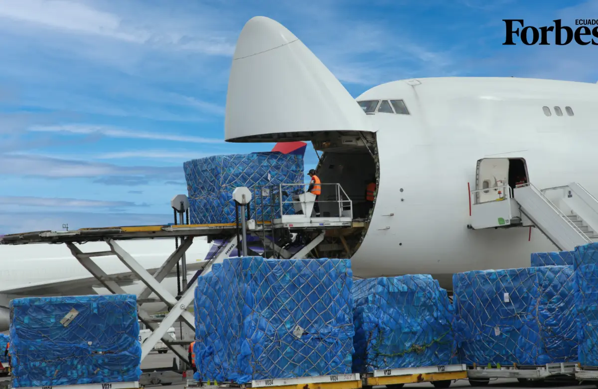 Estas gigantes de la carga aérea dominan el mundo