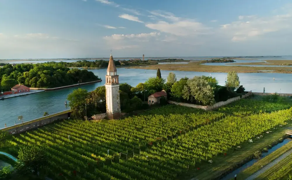 venissa wine resort en venecia, italia