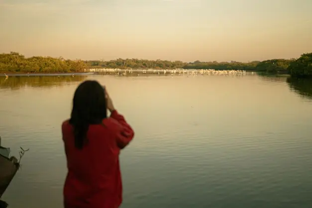 Una escena tranquila de una persona observando flamencos en un cuerpo de agua sereno en Nayarit, México. (Foto: Pexels)