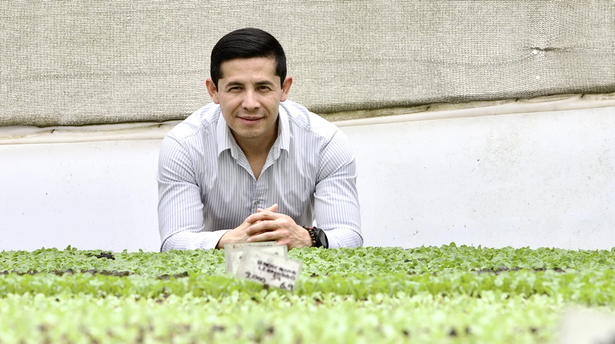 Tiendas de barrio, un laboratorio y más innovación: el CEO de Hortana cuenta los planes de la empresa