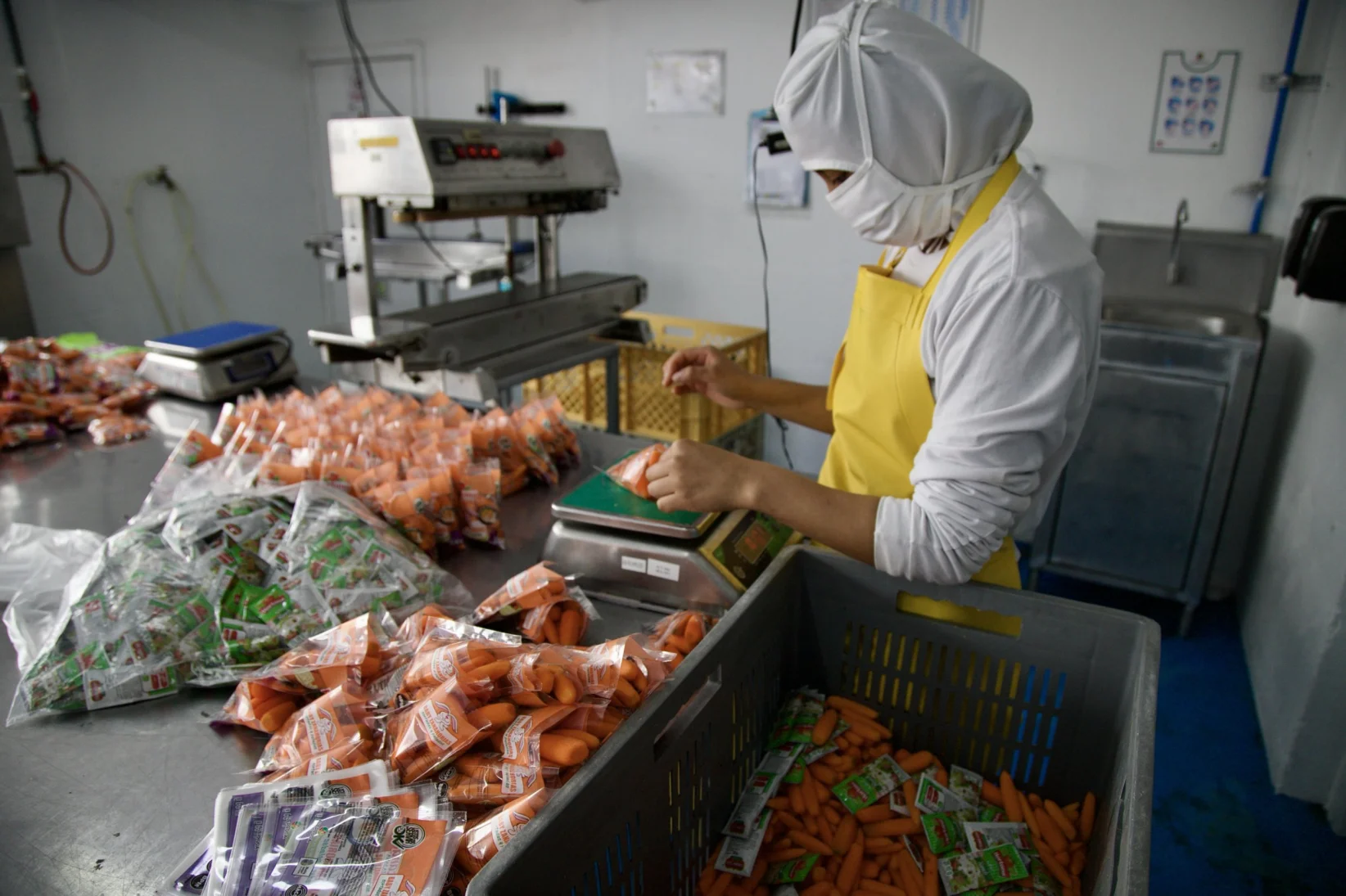 Empresa Hortana de vegetales - Fotos: Armando Prado Viteri para Forbes Ecuador