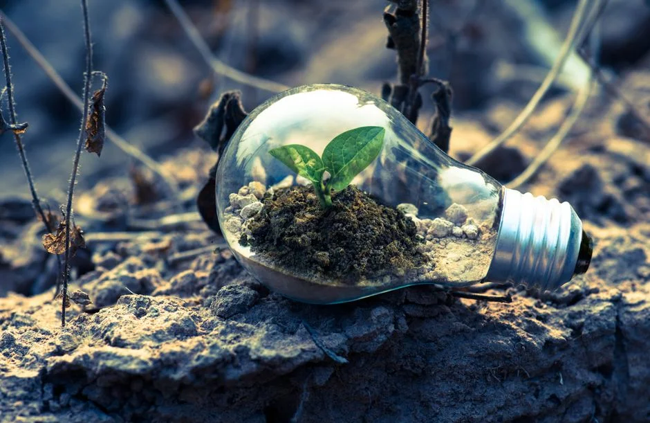 Cómo los jóvenes transforman la ansiedad por el cambio climático en proyectos de impacto