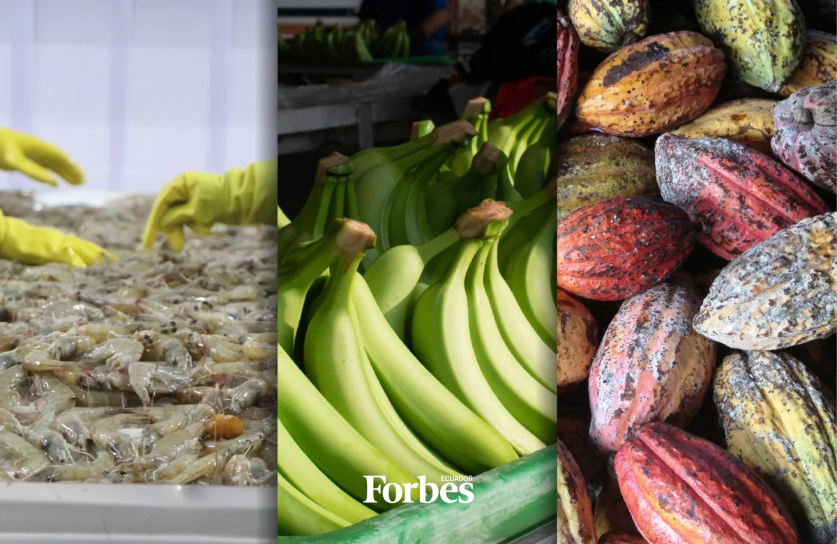 Ecuador destaca entre los mayores proveedores de alimentos para el mundo