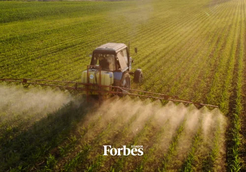 El negocio de US$ 1.000 millones que también financia al agro ecuatoriano 