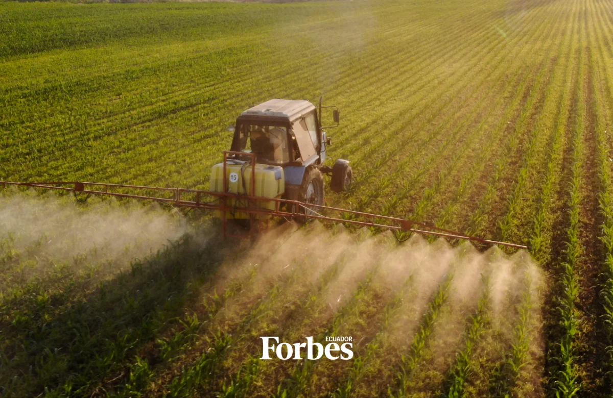 El negocio de US$ 1.000 millones que también financia al agro ecuatoriano 
