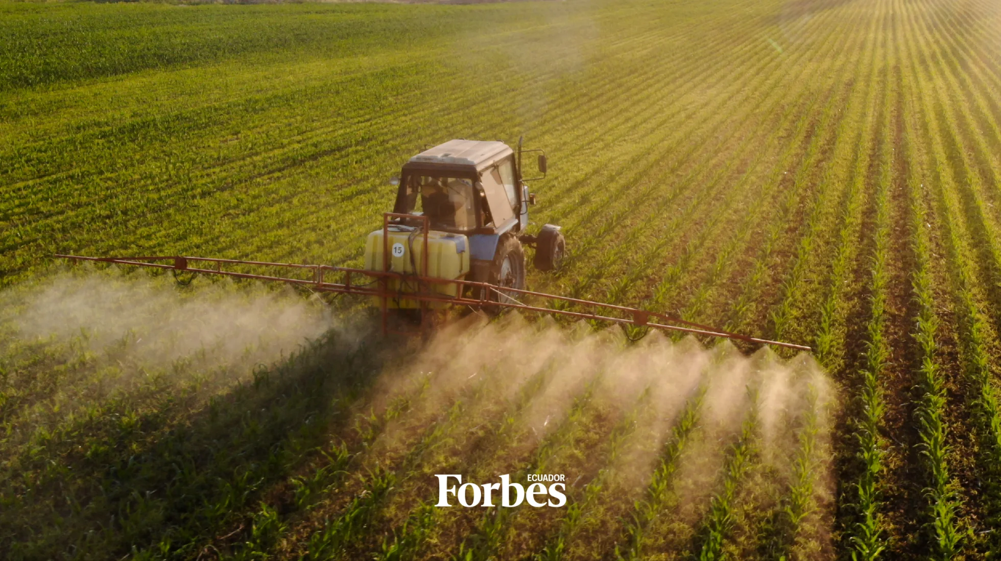 El negocio de US$ 1.000 millones que también financia al agro ecuatoriano 